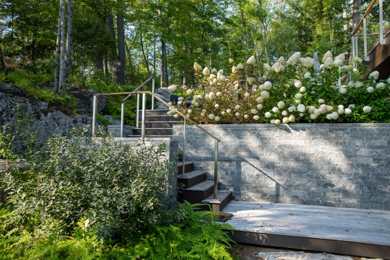 Fernscape-Modern