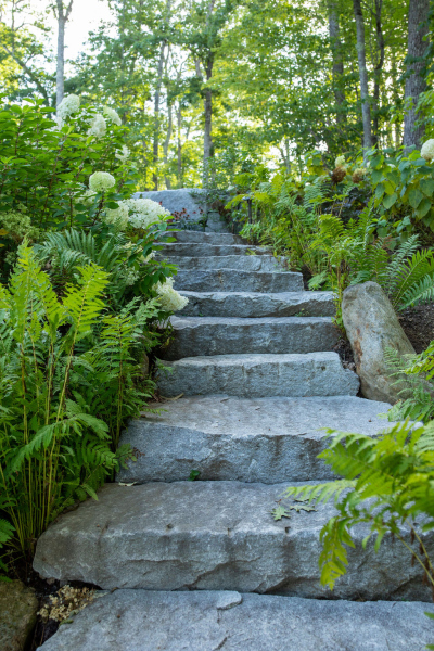 fern-stairs